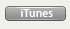 iTunes